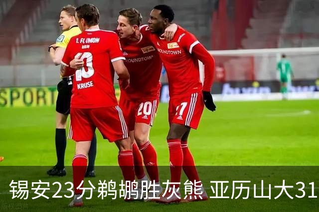 锡安23分鹈鹕胜灰熊 亚历山大31+10雷霆屠公牛